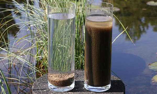 Yếu tố ảnh hưởng tới bùn vi sinh
