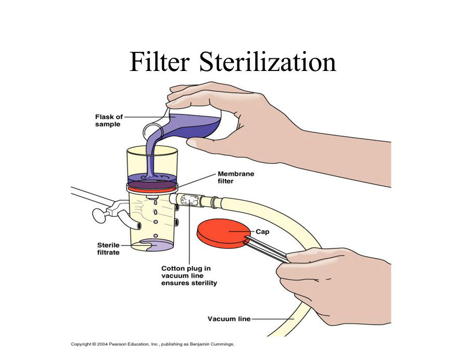 Filter-Sterilization