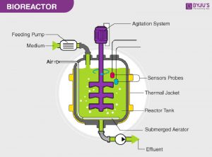 Bioreactor là gì