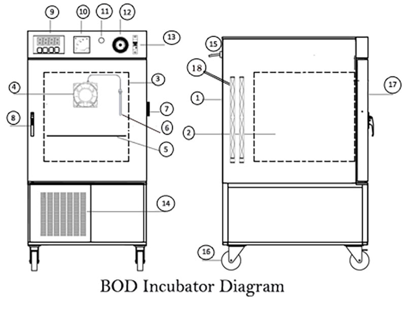 Cấu tạo và nguyên lý làm việc của tủ ấm BOD