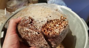 Túi đựng vật liệu trồng nấm bị phá hủy trong nồi hấp tiệt trùng không tự động