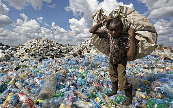 Rác thải nhựa gây ô nhiễm môi trường